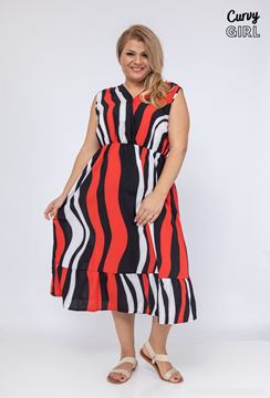 Immagine di CURVY GIRL ZEBRA DRESS